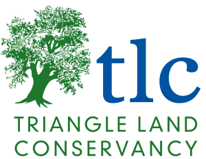 TLC Logo